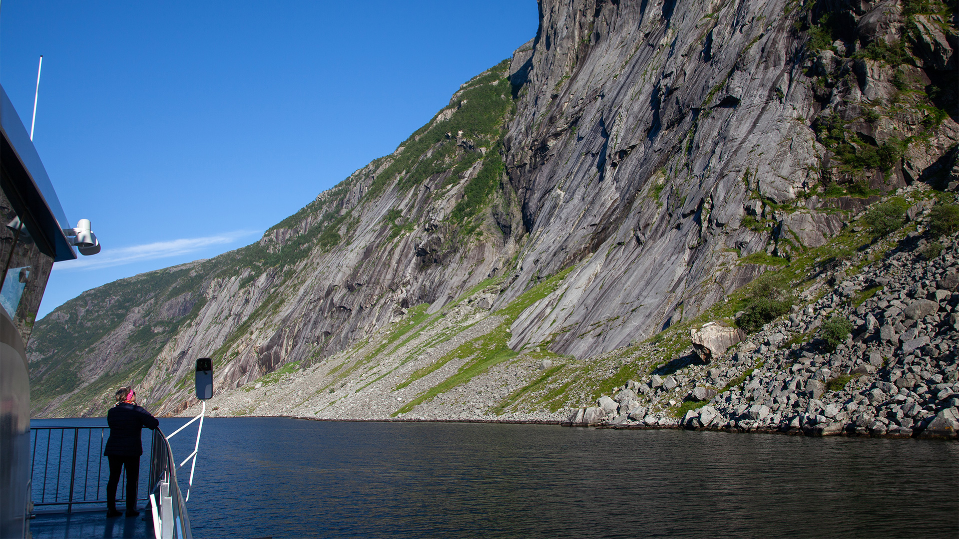 Hund skuer utover fjord og fjell