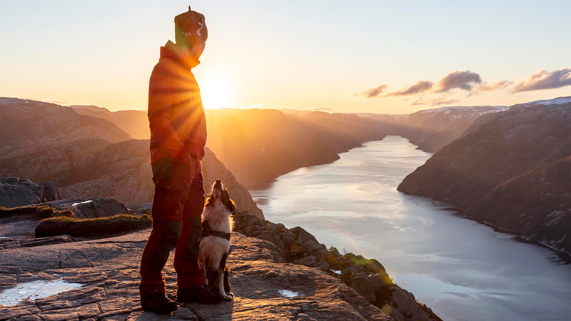 Hund skuer utover fjord og fjell