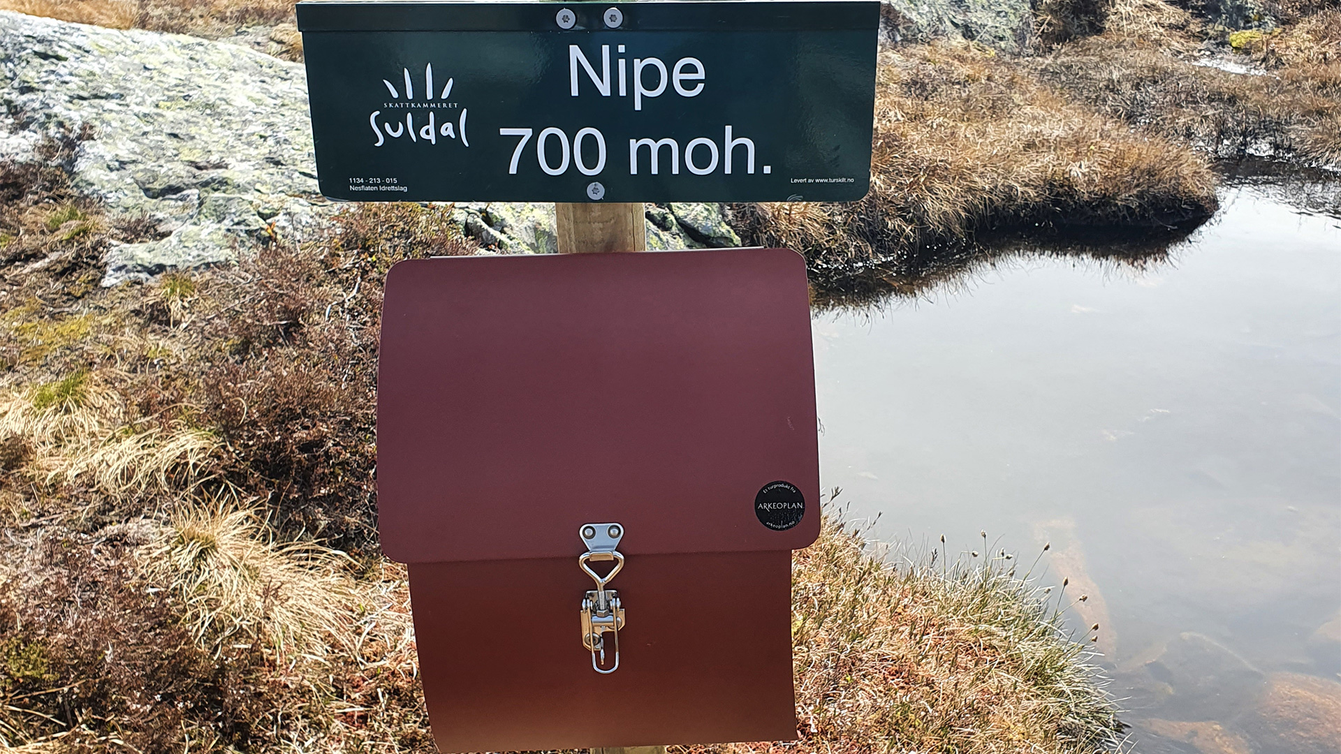 Nipe. Foto: Reidar Johan Sandal