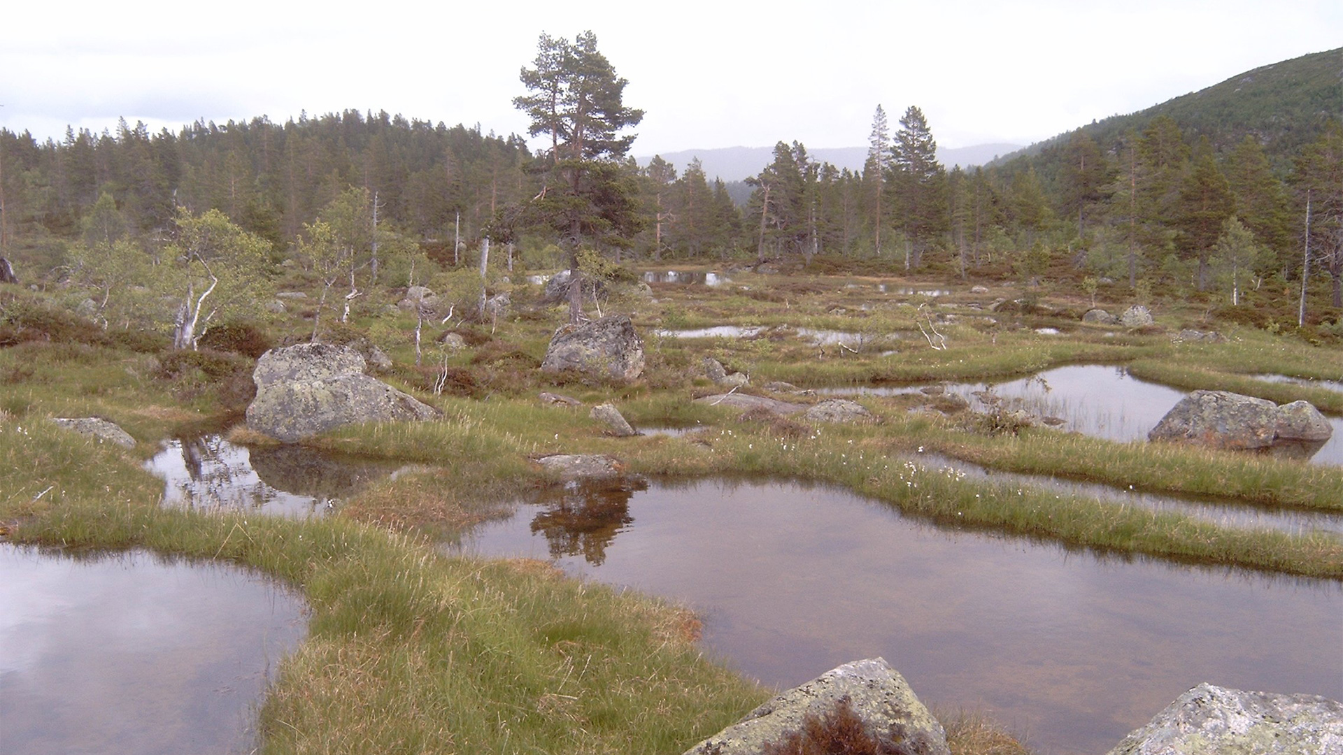 Fjellvann i dal.