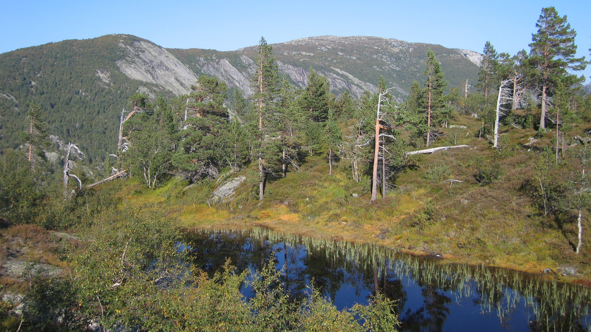 Fjellvann i dal.