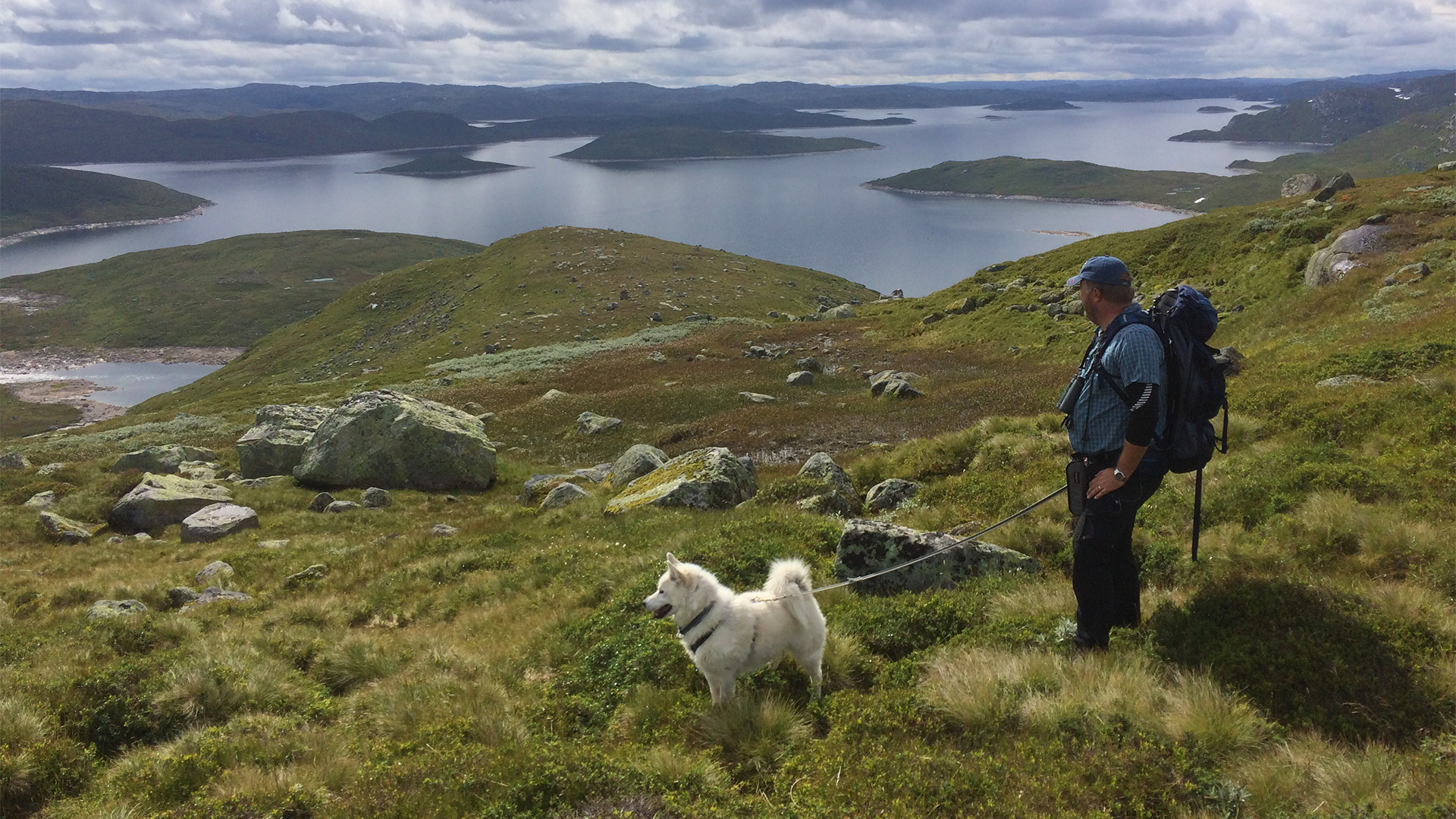 Fjellvann i dal.