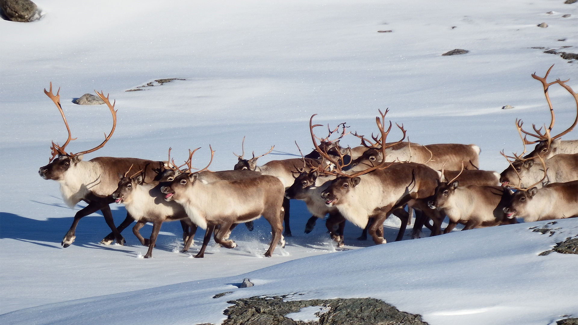 Photo: Ragnar Djuvik Mountain valley.