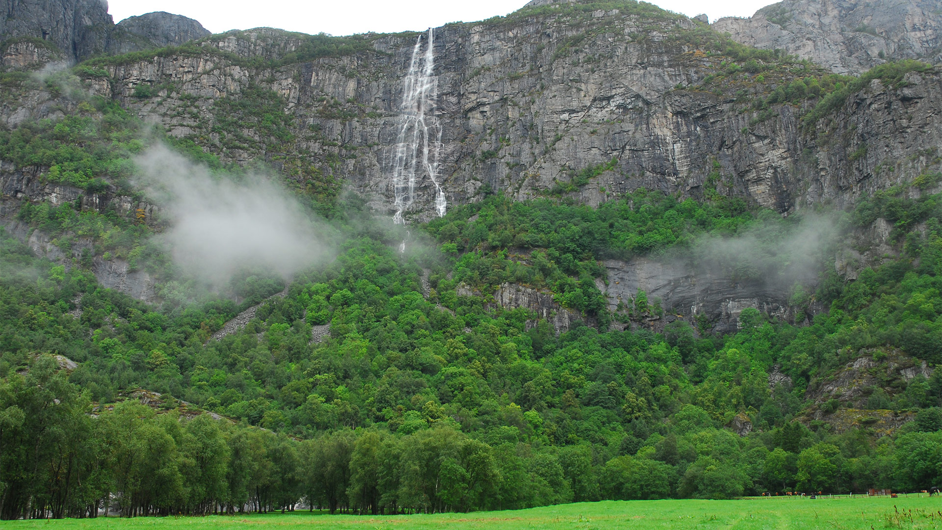 Foto: Statsforvalteren i Rogaland