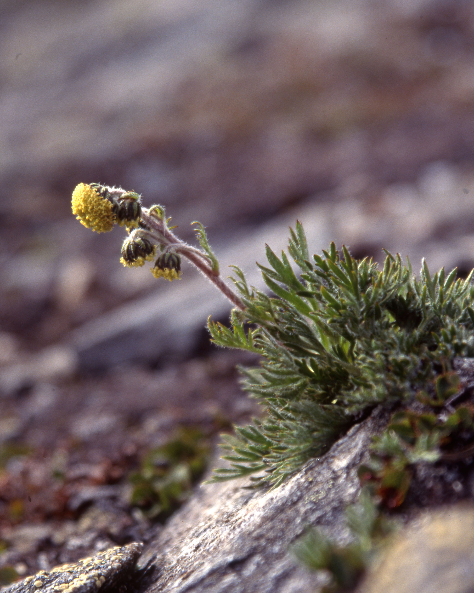 Photo: Kjell Helle Olsen