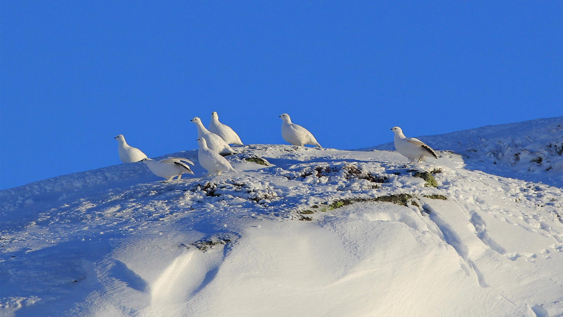 Foto: Spectacular Norway