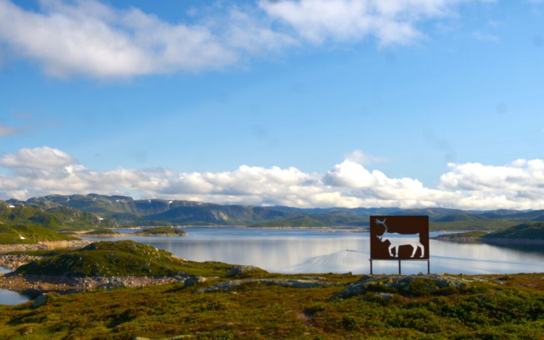 Sjekk ut naturstien ved Håhellervatn i sommar!